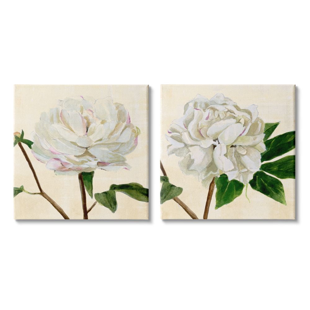 White Peonies with Pink Petal Details Charming Flowers Botanical & Floral Gallery-Wrapped Canvas Print Wall Art, Set of 2, 17x17