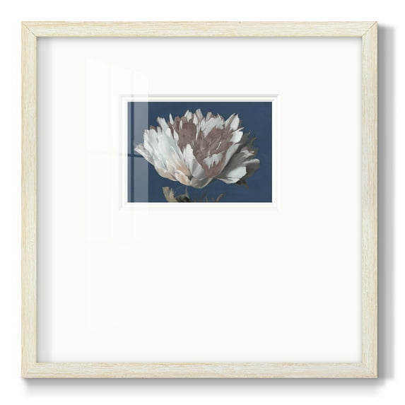 White Peony-Premium Framed Print