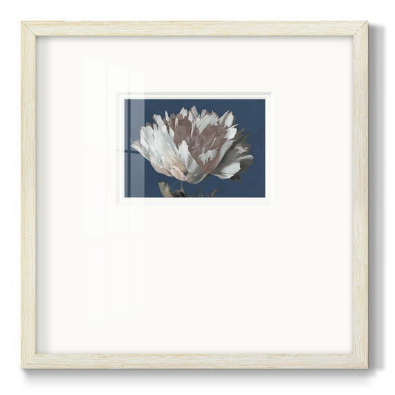 White PeonyPremium Framed Print