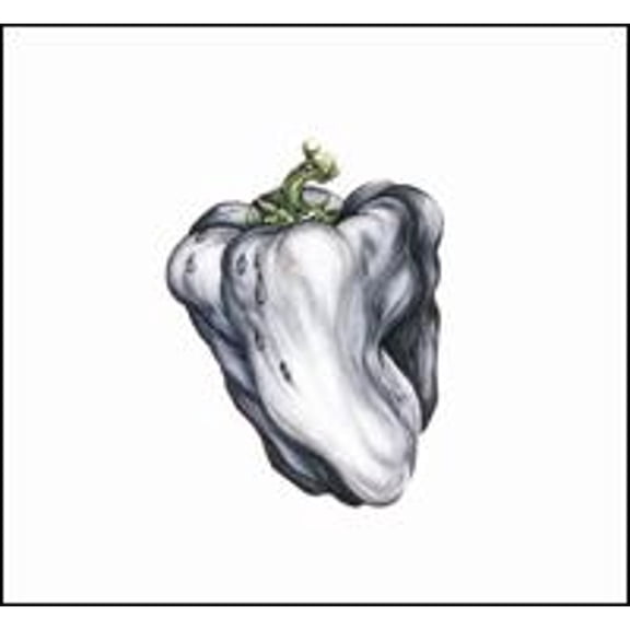 Pre-Owned White Pepper (CD 0075596244923) by Ween