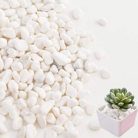 White Perlite for Potted Plants,0.24-0.35" Durable Garden Landscaping Pebbles,QZS Small River Rocks for Garden,Landscaping Use,0.77lb