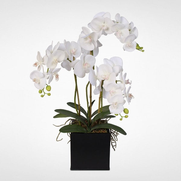 White Silk Orchid Arrangement in Black Metal Planter