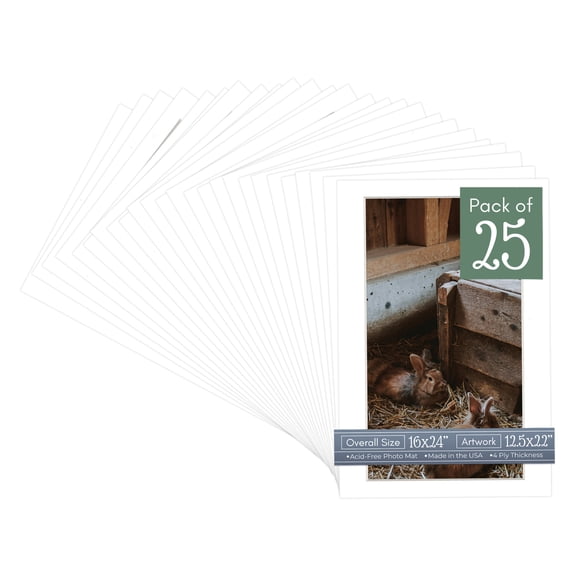 White Picture Frame Mat for 16x24 Frames - Fits 12.5x22 Photos - 25 Mats
