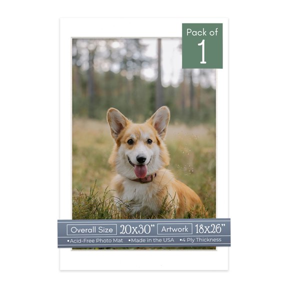 White Picture Frame Mat for 20x30 Frames - Fits 18x26 Photos - 1 Mat
