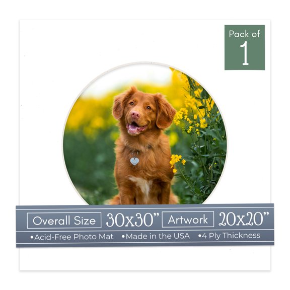 White Picture Frame Mat for 30x30 Frames - Circle Opening for 20x20 Photos - 1 Mat