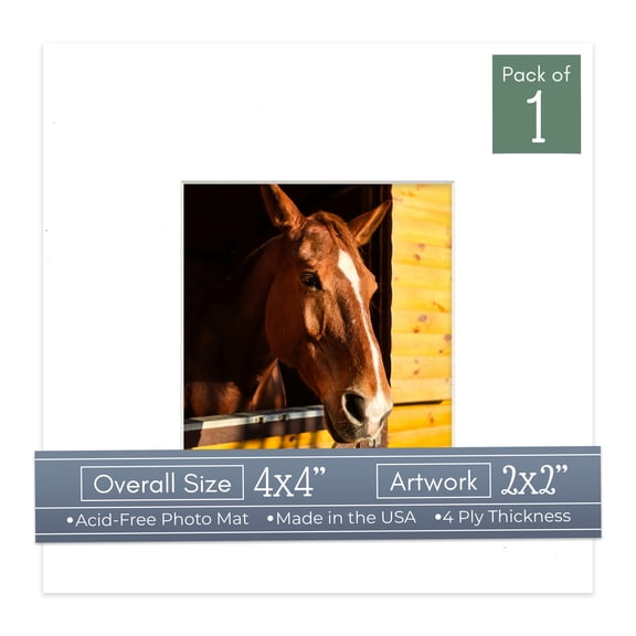 White Picture Frame Mat for 4x4 Inch Frames - Fits 2x2 Photos - 1 Mat