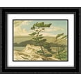 thumbnail image 1 of White Pine 2x Matted 16x14 Black Ornate Framed Art Print by A. J. Casson, 1 of 2