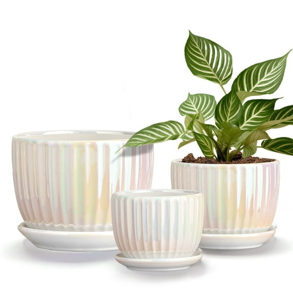 White Plant Pots,Pearl Gold Ceramic Flower Pots 4"+5"+6" Inch Indoor Succulent Pot with Drainage Hole - Decorative Orchid Pots and Herb Pots Set of 3