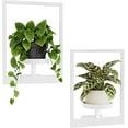 thumbnail image 1 of White Plant Stand Indoor, Plant Hanger Wall Planters for Indoor Plants Window Plant Shelves Plant Holder Wall Decor, Room Decor (Patent Design), 1 of 12