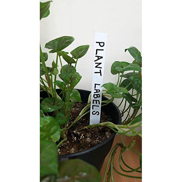 White Plastic Plant Labels, 3/4" x 8" (Pack of 100) and 1 All Weather