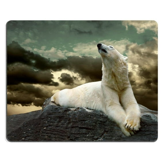 White Polar Bear Hunter on the Ice in water drops Mouse pads Gaming Mouse Pad 9.84x7.87 inches