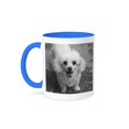 thumbnail image 1 of 3dRose, white poodle, 15oz Two-Tone Blue Mug, 1 of 7