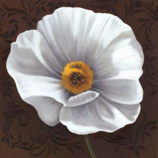 White Poppies I Canvas Art - Jordan Gray (24 x 24)