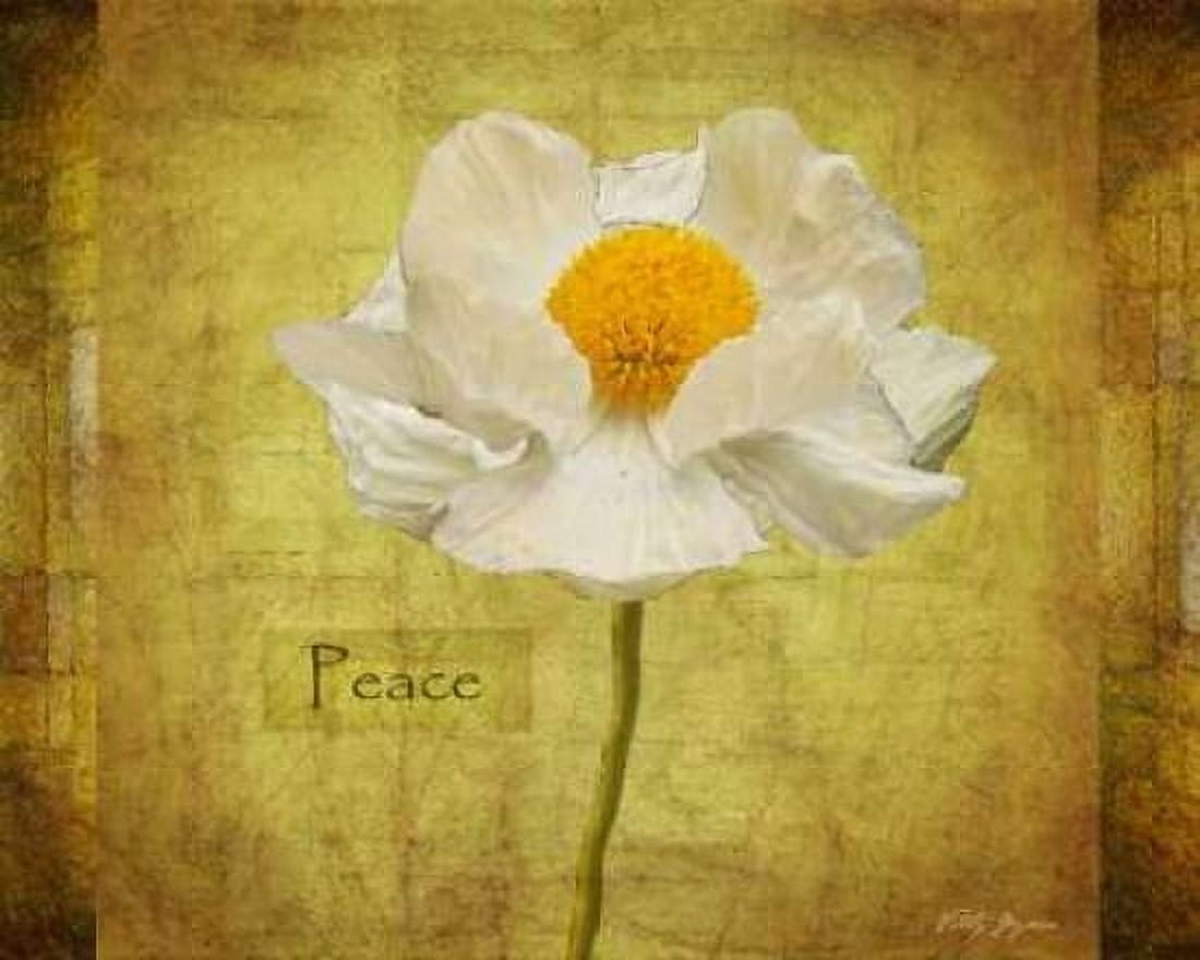 White Poppy Peace Canvas Art - Vitaly Geyman (24 x 30)