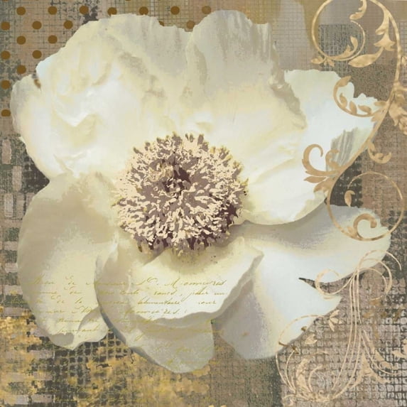 White Poppy Shimmer II Poster Print by Nan