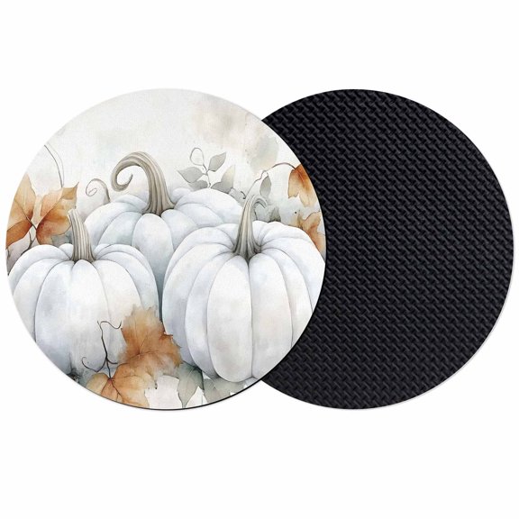 White Pumpkins Fall Coasters Set of 2, Absorbent Coasters for Drinks, Thanksgiving Pumpkin Botanical Coaster for Desk Coffee Table Protection, Home Decor House Warming Gifts 4"