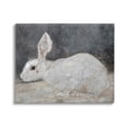 thumbnail image 1 of White Rabbit Bunny Classic Animals & Insects Painting Gallery Wrapped Canvas Print Wall Art, 1 of 7