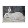thumbnail image 1 of White Rabbit Bunny Classic Animals & Insects Painting White Framed Art Print Wall Art, 1 of 7