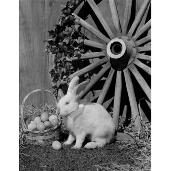 White Rabbit & Easter Eggs in Basket Poster Print - 18 x 24 in.