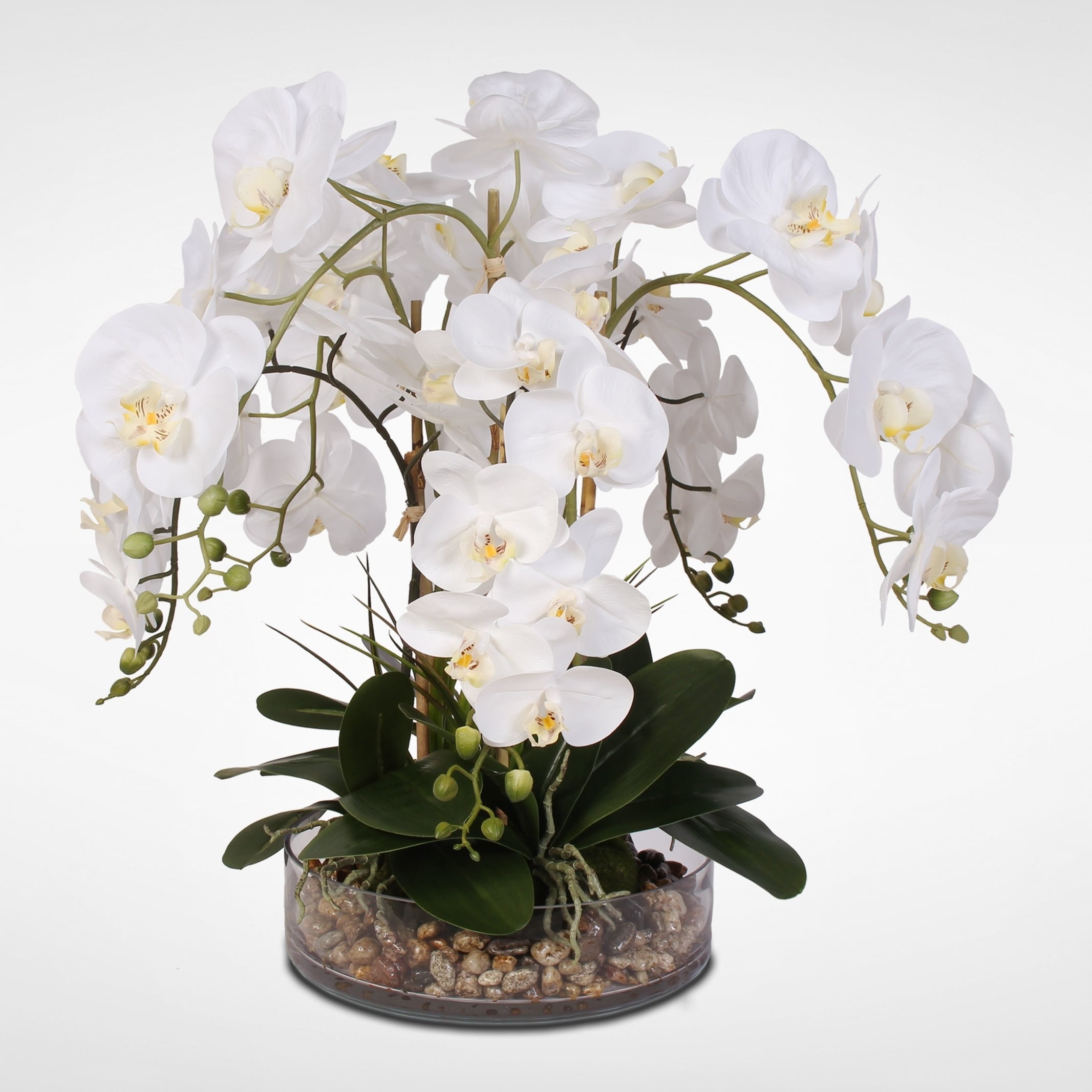 White Orchid and Vanilla Grass Tabletop Arrangement in Glass Bowl