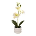 thumbnail image 1 of White Realistic Faux Phalaenopsis Orchid In White Color, In Pot For Decoration #69qq9, 1 of 9