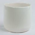 thumbnail image 1 of White Ribbed Planter, 1 of 1