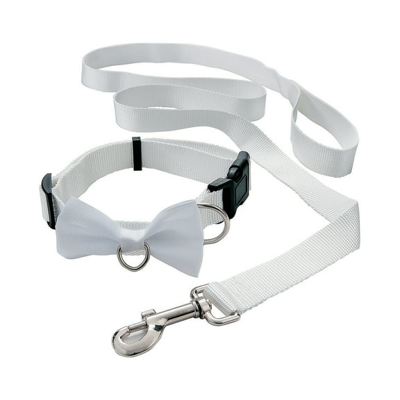 White Ring Bearer Dog Collar & Leash - Apparel Accessories - 1 Piece