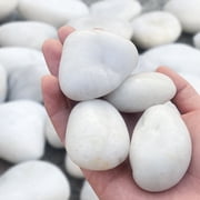 White River Rocks 40lbs - 1-2 Inch Natural Polished Pebbles for Landscaping, Indoor Plants, Aquariums & Vase Filler - Moisture-Retaining Decorative Stones