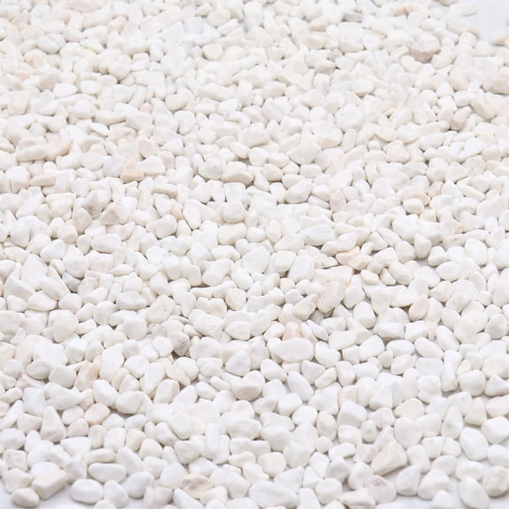 White Rocks. Decorative Pebbles. 1/5 Inch 10 lbs for Garden, Landscaping, Indoor, Vase Fillers, Crafting, Succulents, Pots, Plants (Mini, Tumbled)