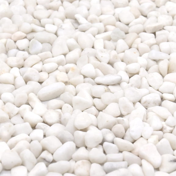 White Rocks for Plants & Garden. Decorative Polished Pebbles. 3/8 Inch 2lbs Succulents, Vases Pots (XSM (0.375 Inch), - Lightly Polished, 2)