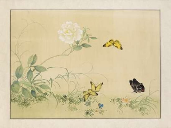 White Rose and Butterflies Canvas Art - Unknown (22 x 28)