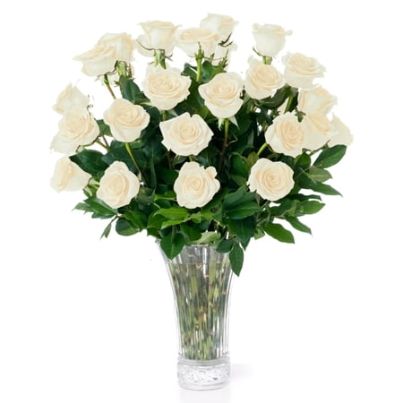White Roses Fresh Flowers Delivery - 2 Dozen Roses for Delivery/Farmhouse Flowers for Delivery - Fresh Cut Long Stem Roses Bouquet of Flowers Birthday Gifts for Women - Aquarossa Farms