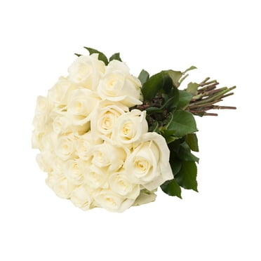 White Roses Gift - Farm Direct Fresh Cut Flowers - 24 Stems - by Bloomingmore