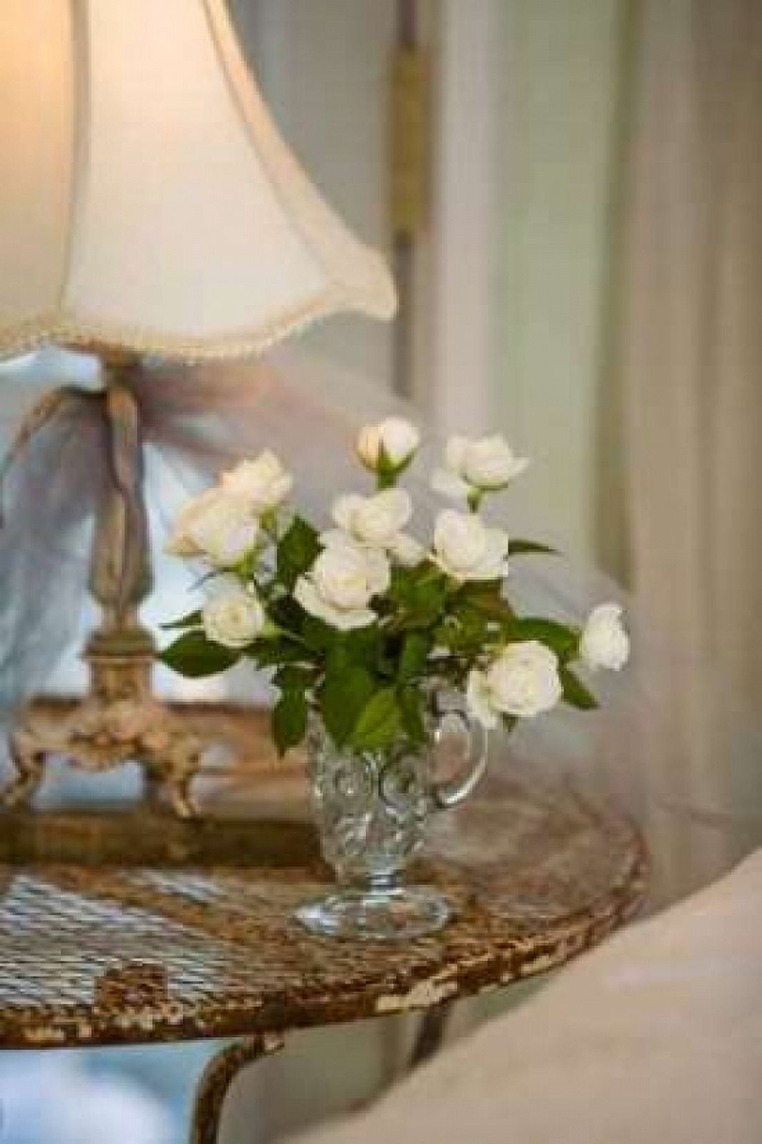 White Roses I Canvas Art - Philip Clayton-Thompson (12 x 18)
