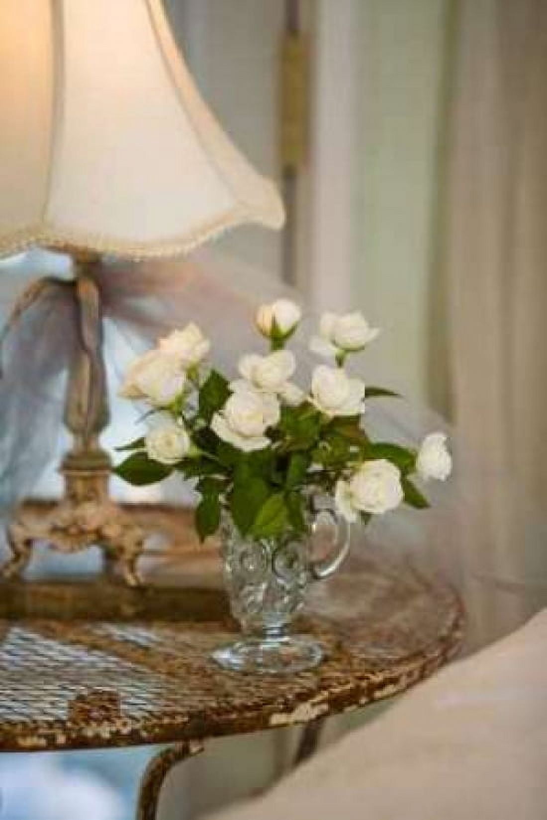 White Roses I Canvas Art - Philip Clayton-Thompson (24 x 36)