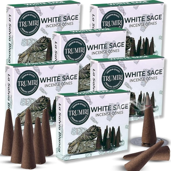 White Sage 60 Cone Incense - Six Packs of 10 Scented Incense Cones