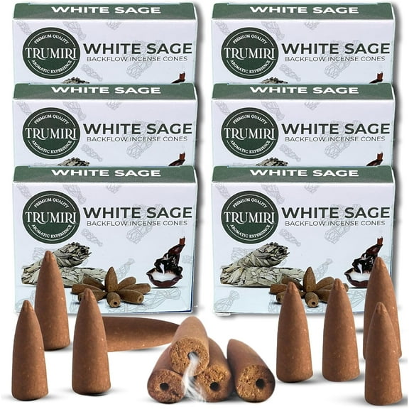 White Sage Backflow Incense Cones - Total 60 Incense Cones Waterfall - Six Packs of 10 Incense Backflow Cones - Waterfall Inscent Cones - Incense Waterfall Cones