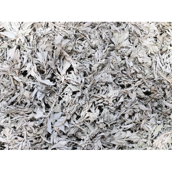 White Sage Clusters Bulk Loose Leaf White Sage for Cleansing & Smudging