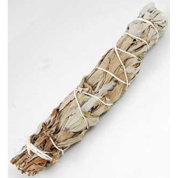 White Sage smudge stick 6-7" unbagged