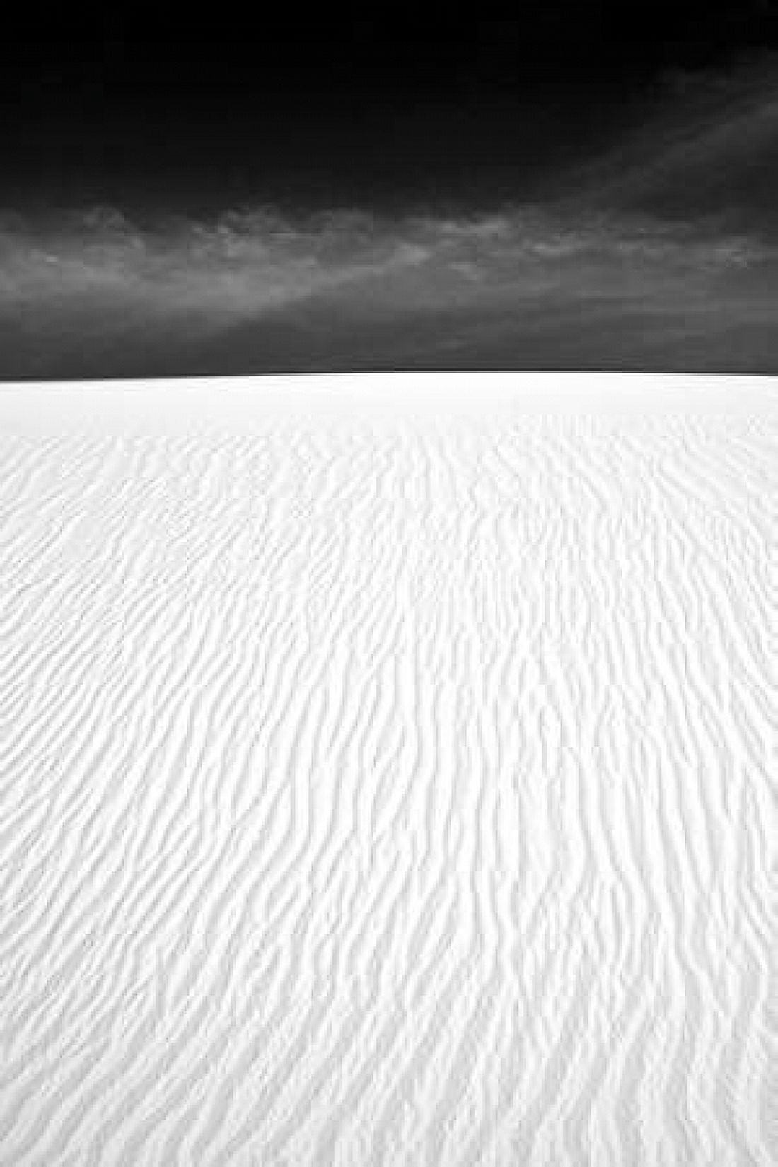 White Sands New Mexico Canvas Art - Douglas Taylor (12 x 18)