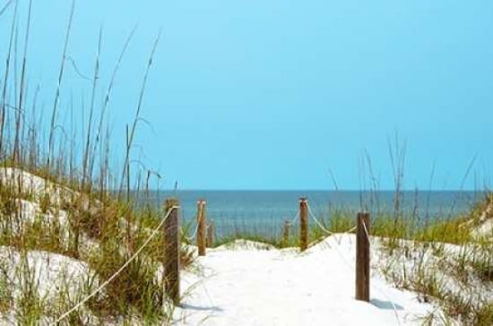 White Sandy Beach I Canvas Art - Gail Peck (24 x 36)