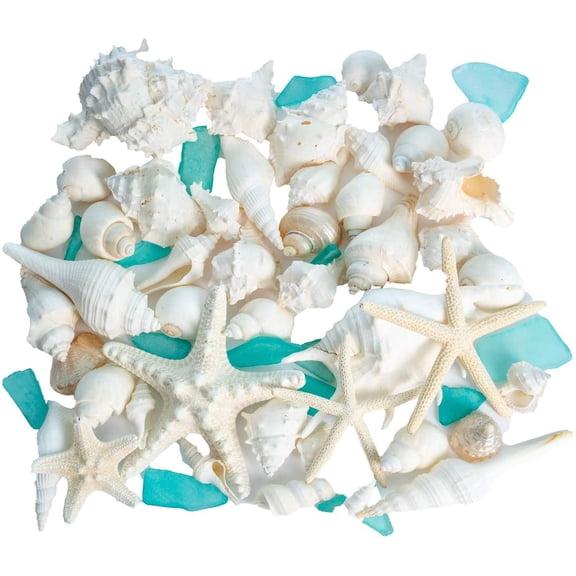 White Seashells with Real White Starfish & Aqua Sea Glass | 1 Pound
