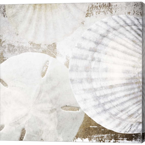White Shells II by Irena Orlov, Canvas Wall Art
