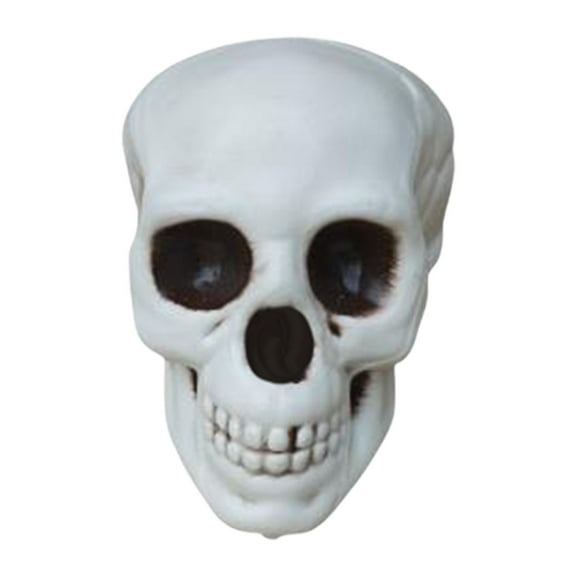 White Skeleton Head Decoration for Halloween Realistic Skull Figurine for Outdoor Cemetery Decor,Spooky White Halloween Prop Large Skeleton Head Ornament,White Skeleton Skull Prop Figurine(White)