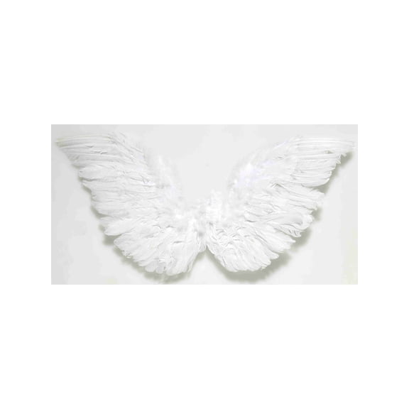 White Small Angel Wings 18 X 18