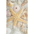 thumbnail image 1 of White Starfish Sandy Beach Tea Towels 4 Pack Summer Theme Kitchen Dish Cloth with Hanging Loop, 18"x28" Lint-Free Absorbent Towel for Kitchen Drying Wiping and Cleaning, 1 of 7