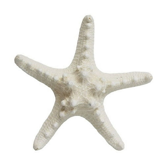 White Starfish Shell Beach Decor, 1 Piece Per Purchase, Styles Vary