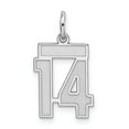 thumbnail image 1 of White Sterling Silver Charm Pendant 14 Rhodium-Plated Small Satin Number, 1 of 2