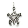 thumbnail image 1 of White Sterling Silver Charm Pendant Themed 17 mm 12, 1 of 2