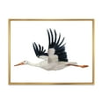 thumbnail image 1 of White Stork Ciconia Flying Bird 32 in x 24 in Framed Painting Canvas Art Print, by Designart, 1 of 5